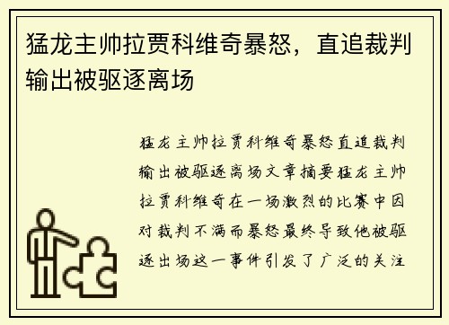 猛龙主帅拉贾科维奇暴怒，直追裁判输出被驱逐离场 